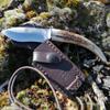 Joker Hunting knife CC57 Topo, deer horn handle, 2.95 inches blade of MOVA Steel, with brown Sheath, Tool for fishing, Hunting, camping and hiking view 4