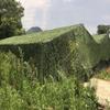 LIYFF-Tarps Military Camouflage Netting,Sunscreen Nets Oxford Fabric Camo Net for Sunshade Decoration Camping Shooting Hide Hunting Greenhouse Plant Shade Netting view 1