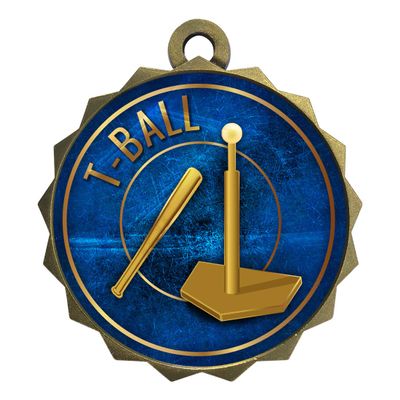 2-1/4 Inch Die-Cast Metal Award Medallion with Antique Gold Finish and Attached 2 Inch Full Color Laminated Sport Insert.