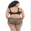GODDESS Women's Plus-Size Kayla Signature Print Brief Underwear, Cloud Forest, L view 4