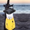 Aosiyp Hand Crank Solar Powered Brightest Lanterns LED Camping Emergency Flashlight Torch Lamp Phone Charger LED Lantern Emergency Storm Camping Torch view 2