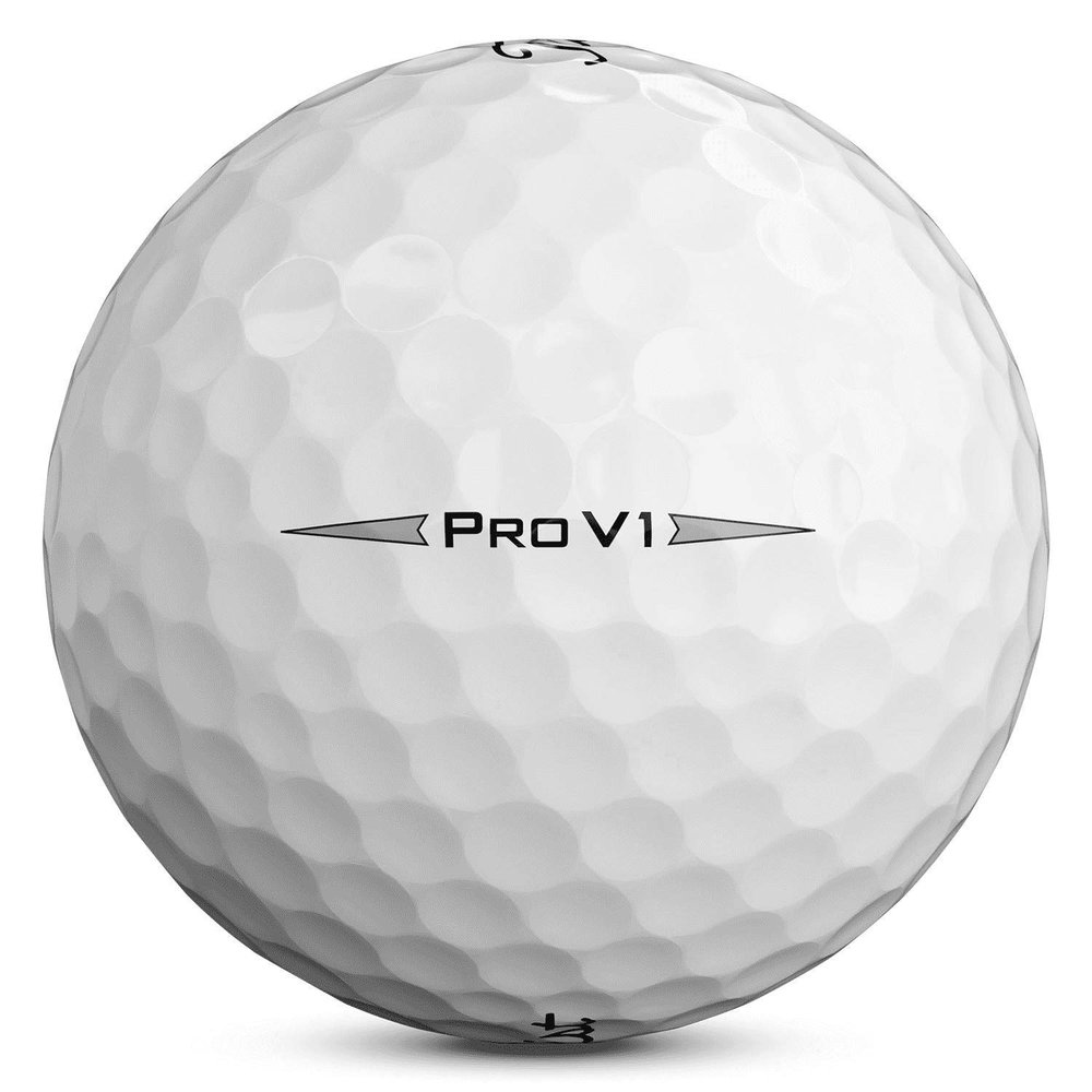 Titleist 50 Pro V1 2019 Near Mint Used Golf Balls (50 Balls)