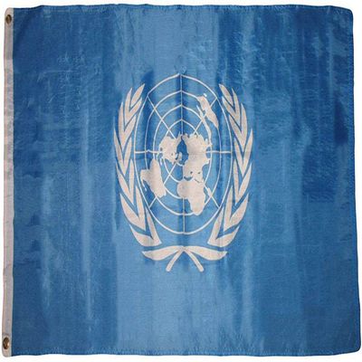 AES American Wholesale 3x5 United Nations UN Premium Quality Flag 3'x5' Banner Grommets Polyester