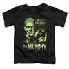 A&E Designs The Mummy Toddler T-Shirt Boris Karloff Black Tee, 2T view 1