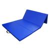 Geniqua Gymnastics Mat Folding Stretching Mat Fitness Home Workout Yoga Tumbling Pad view 3