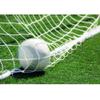 Soccer Net Soccer Net view 4