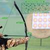 IS-TONGTU Archery Bow for Adult Beginner, Left and Right Handed Recurve Bow and Arrow 20LB 30LB 40LB Takedown Bow Set Easy to Assemble (Black, 30 LB) view 4
