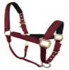 CHALLENGER Nylon Horse Neoprene Padded Burgundy Adjustable Halter Brass Hardware 606173BG view 2