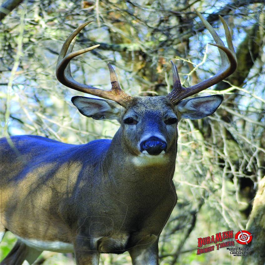 Duramesh Archery Targets Whitetail #2, DM220