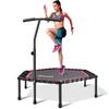 Newan 48'' Fitness Trampoline with Adjustable Handle Bar, Silent Trampoline Bungee Rebounder Jumping Cardio Trainer Workout for Adults - Max Limit 330 lbs view 1