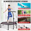 Newan 48'' Fitness Trampoline with Adjustable Handle Bar, Silent Trampoline Bungee Rebounder Jumping Cardio Trainer Workout for Adults - Max Limit 330 lbs view 4