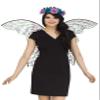 Fun World Dark Fairy Wings Standard Black view 1