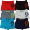 ToBeInStyle Boy's 6 Pack Seamless Boxer Briefs Lion - Small view 1