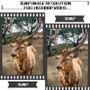 Boly Ultra High Image Resolution Hunting Camera Invisible IR Trail Camera 36MP 1080p HD Video, Adjustable Sensor up to 100ft. Detection, Trigger time Less Than 1s Hunting Cam. view 4