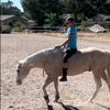 neck rope horse tack bridleless riding silver grey view 3