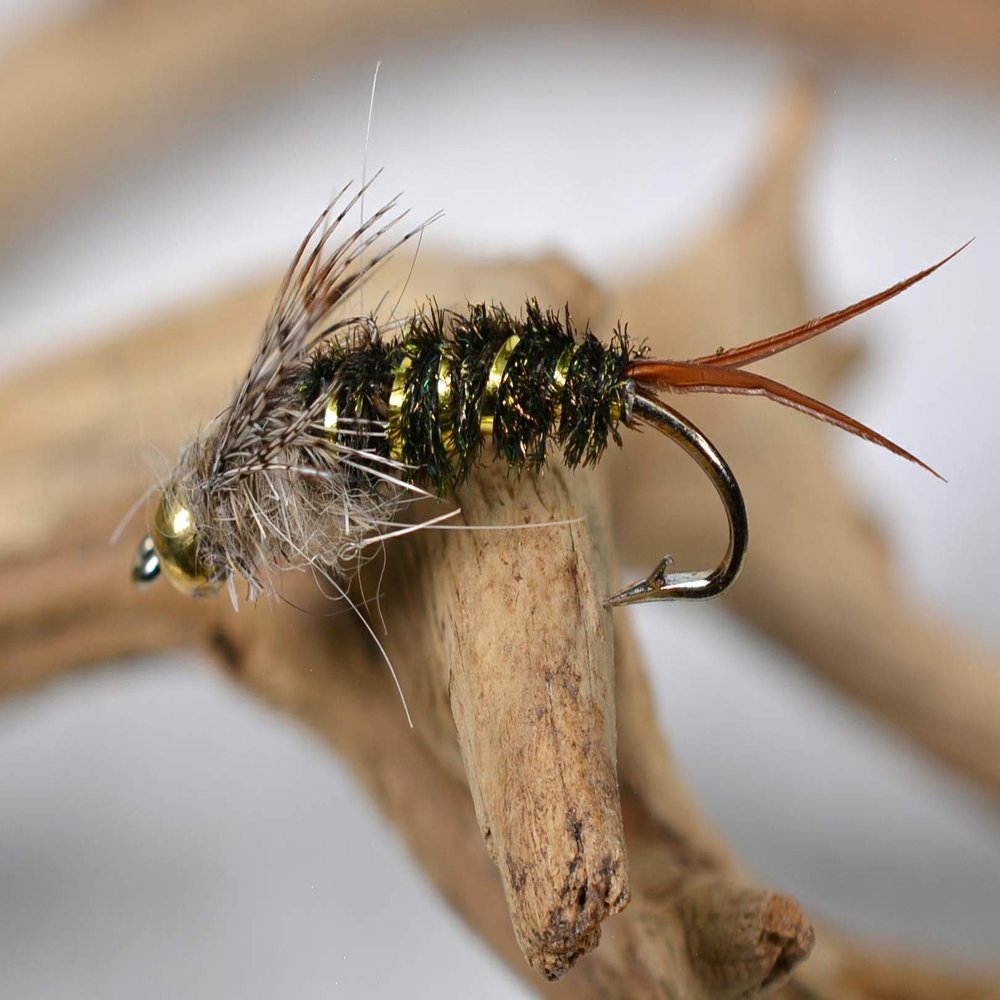Region Fishing One Dozen Tungsten Bead Head 20 Incher Stonefly Nymph Flies on Mustad Signature Hooks (Hook #12)