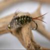 Region Fishing One Dozen Tungsten Bead Head 20 Incher Stonefly Nymph Flies on Mustad Signature Hooks (Hook #12) view 1