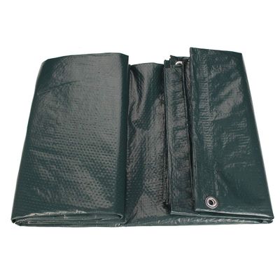 dDanke Green Waterproof Tarpaulin for Car Cover Camping Tarp Sunproof Dustproof Tent 80gsm with Eyelets (12ft x 18ft)