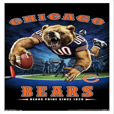 Trends International NFL Chicago Bears - End Zone 17 Wall Poster, 22.375" x 34", White Framed Version
