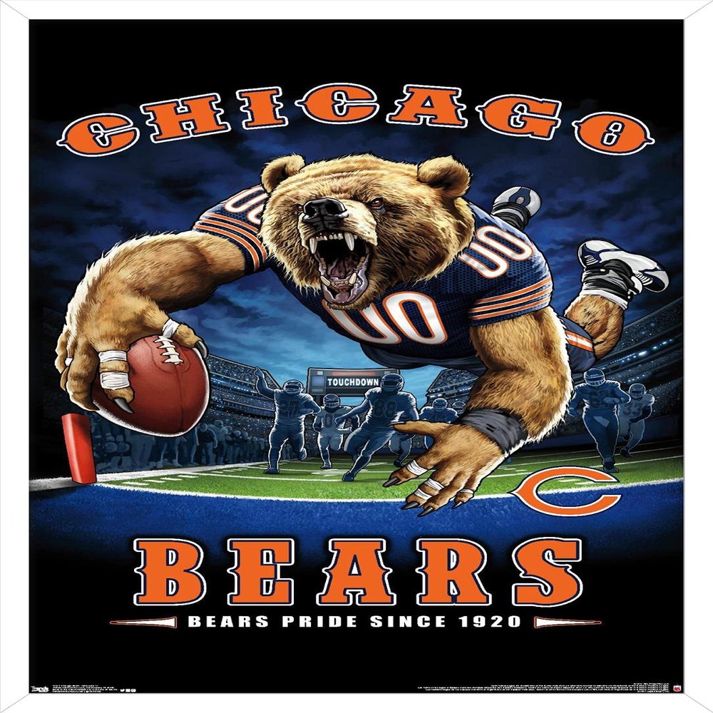 Trends International NFL Chicago Bears - End Zone 17 Wall Poster, 22.375" x 34", White Framed Version
