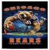 Trends International NFL Chicago Bears - End Zone 17 Wall Poster, 22.375" x 34", White Framed Version view 1