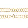 14Kt Gold Filled 5mm Flat Circle 22 Inch Neck Chain with Clasp - 1pc (5757)/1 view 1