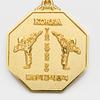 Taekwondo Korea Gold Medal of Eight Petales Competition Prize Award MMA Martial Arts Match Tournament Gym School Academy (6. Competing Posture) view 4