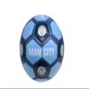 Icon Sports Compatible with Manchester City Official Soccer Ball Size 2 03-1
