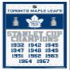 Trends International NHL Toronto Maple Leafs - Champions 16 Wall Poster, 22.375" x 34", White Framed Version view 1
