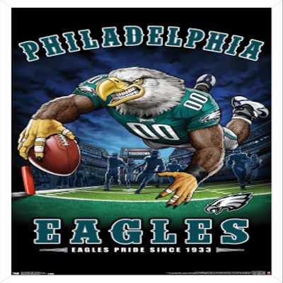Trends International NFL Philadelphia Eagles - End Zone 17 Wall Poster, 22.375" x 34", White Framed Version