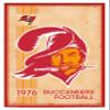 Trends International NFL Tampa Bay Buccaneers - Retro Logo 14 Wall Poster, 22.375" x 34", White Framed Version view 1