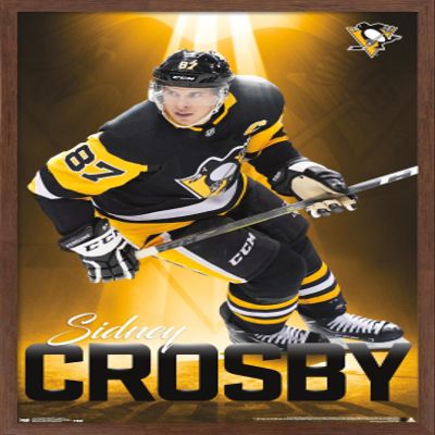 Trends International NHL Pittsburgh Penguins - Sidney Crosby 18 Wall Poster, 22.375" x 34", Mahogany Framed Version