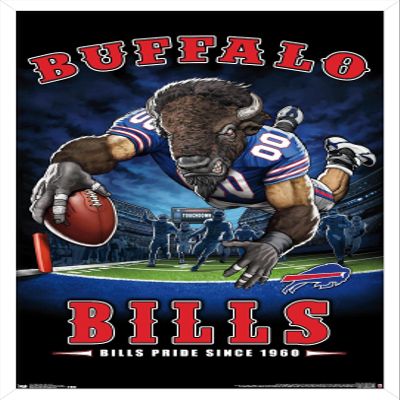 Trends International NFL Buffalo Bills - End Zone 17 Wall Poster, 22.375" x 34", White Framed Version
