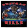 Trends International NFL Buffalo Bills - End Zone 17 Wall Poster, 22.375" x 34", White Framed Version view 1