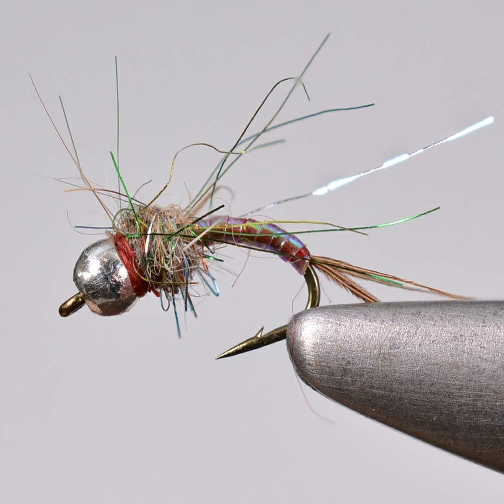 Region Fishing Tungsten Bead Rainbow Warrior Midge Nymph Fly - 1 Doz Flies on Mustad Signature Hooks (Assortment)