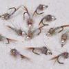 Region Fishing Tungsten Bead Rainbow Warrior Midge Nymph Fly - 1 Doz Flies on Mustad Signature Hooks (Assortment) view 2