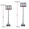 Home Use 2.1m-2.6m Basketball System Basketball Hoop Teenager PVC Transparent Backboard Teenager Basketball Hoop Stand Backboard System Adjustable-Height For School Training institution Sports Equipme view 1