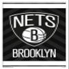 Trends International NBA Brooklyn Nets - Logo 15 Wall Poster, 22.375" x 34", White Framed Version view 1