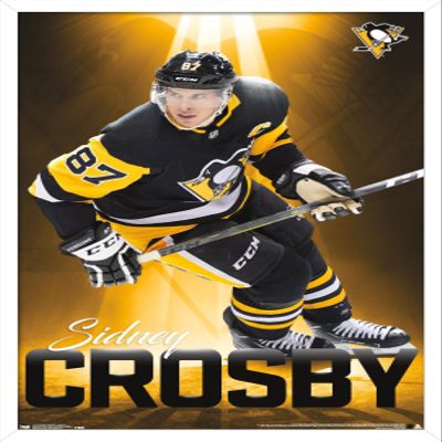 Trends International NHL Pittsburgh Penguins - Sidney Crosby 18 Wall Poster, 22.375" x 34", White Framed Version