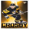 Trends International NHL Pittsburgh Penguins - Sidney Crosby 18 Wall Poster, 22.375" x 34", White Framed Version view 1