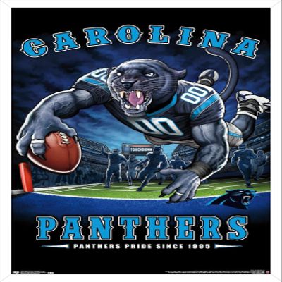 Trends International NFL Carolina Panthers - End Zone 17 Wall Poster, 22.375" x 34", White Framed Version