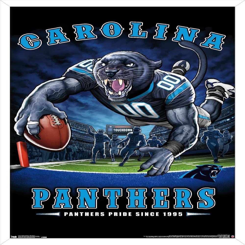 Trends International NFL Carolina Panthers - End Zone 17 Wall Poster, 22.375" x 34", White Framed Version