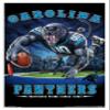Trends International NFL Carolina Panthers - End Zone 17 Wall Poster, 22.375" x 34", White Framed Version view 1