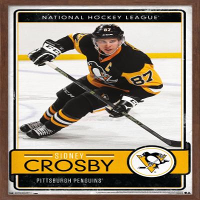 Trends International NHL Pittsburgh Penguins - Sidney Crosby 16 Wall Poster, 22.375" x 34", Mahogany Framed Version