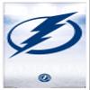 Trends International NHL Tampa Bay Lightning - Logo 17 Wall Poster, 22.375" x 34", White Framed Version view 1