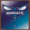 Trends International NBA Charlotte Hornets - Logo 14 Wall Poster, 22.375" x 34", Mahogany Framed Version view 1