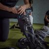 Easton | JEN SCHRO THE VERY BEST Catcher's Leg Guards | Fastpitch Softball | Medium | Black view 4