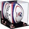 Better Display Cases Acrylic Rugby Ball Display Case Vertical with Mirror, Wall Mount and Pink Risers (A060-PNR) view 1