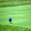 Golf City Products Golf Tee Markers Tee Box Marker Ideal for Your Backyard Practice Putting Green (Gray) Set of 2 view 2
