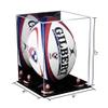 Better Display Cases Acrylic Rugby Ball Display Case Vertical with Mirror and Pink Risers (A060-PNR) view 2